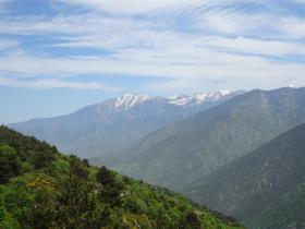 photo coins arrondis