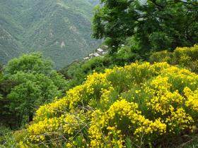 photo coins arrondis