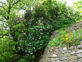 photo coins arrondis