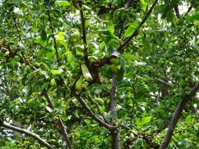 photo coins arrondis