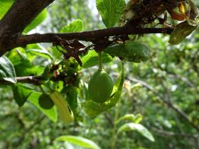 photo coins arrondis