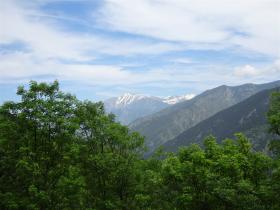 photo coins arrondis