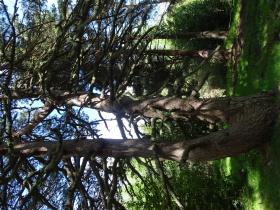 photo coins arrondis