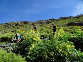 photo coins arrondis