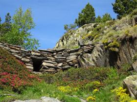 photo coins arrondis