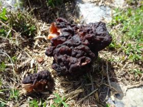 photo coins arrondis