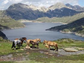 photo coins arrondis