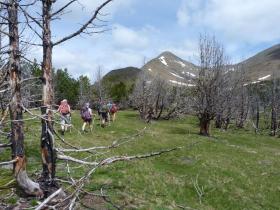 photo coins arrondis