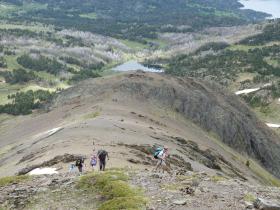 photo coins arrondis