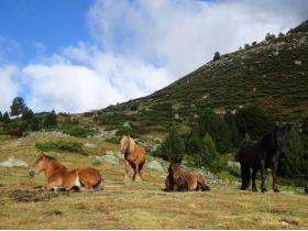 photo coins arrondis