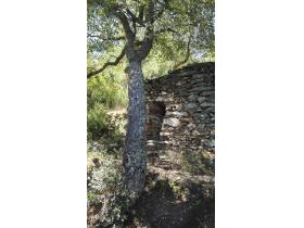 lien_externe