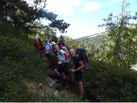 photo coins arrondis