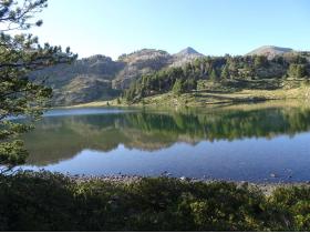 photo coins arrondis