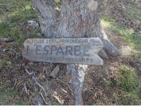 photo coins arrondis