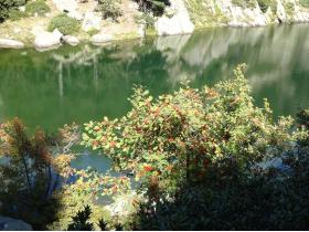 photo coins arrondis