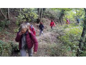 photo coins arrondis