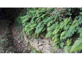 photo coins arrondis