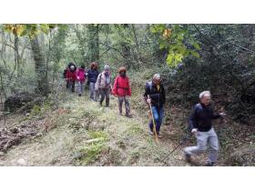 photo coins arrondis