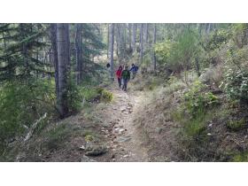 photo coins arrondis