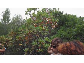 lien extene lien_externe