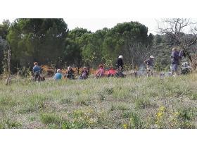 lien extene lien_externe