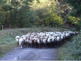 photo coins arrondis