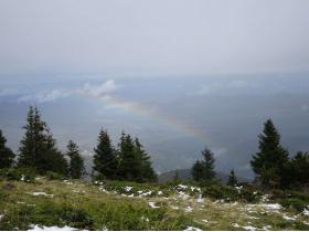 photo coins arrondis