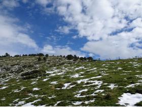 photo coins arrondis