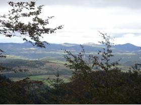 photo coins arrondis