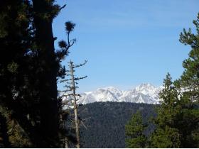 photo coins arrondis