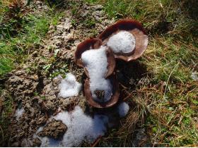 photo coins arrondis