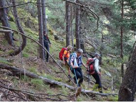 photo coins arrondis