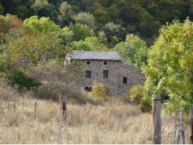 photo coins arrondis