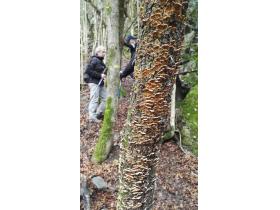 photo coins arrondis