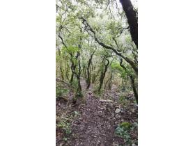 photo coins arrondis