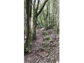 photo coins arrondis