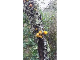 photo coins arrondis