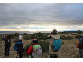 photo coins arrondis