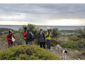 photo coins arrondis