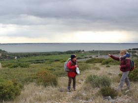 photo coins arrondis