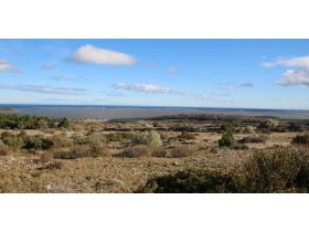 Image al&eacute;atoire