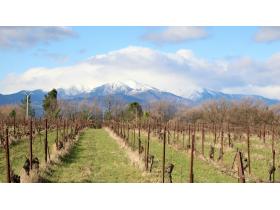 photo coins arrondis