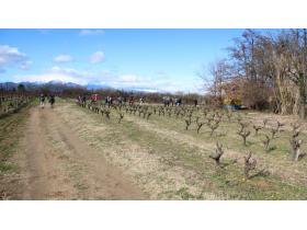 photo coins arrondis