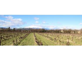 photo coins arrondis