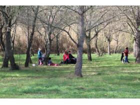 photo coins arrondis