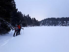 photo coins arrondis