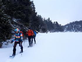 photo coins arrondis