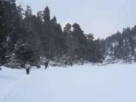 photo coins arrondis