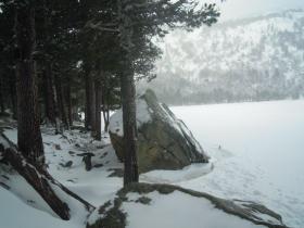 photo coins arrondis