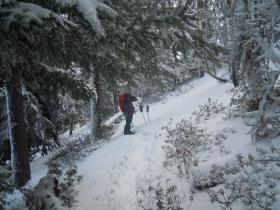 photo coins arrondis